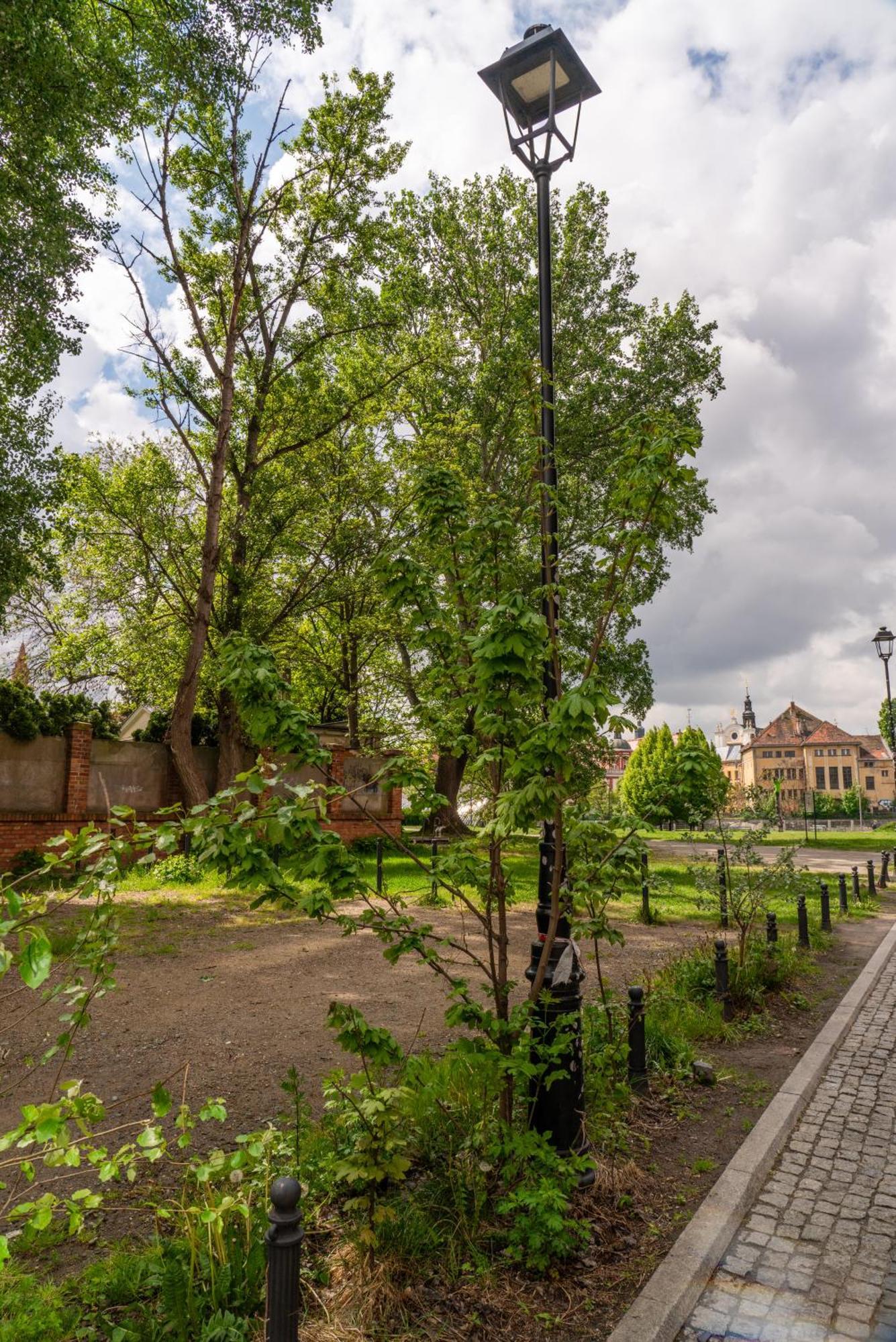 Uniquerent- Luksusowy W Centrum Wroclawia, Tuz Obok Wyspy Slodowej Apartment Wroclaw